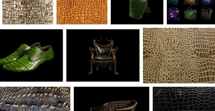 reptile